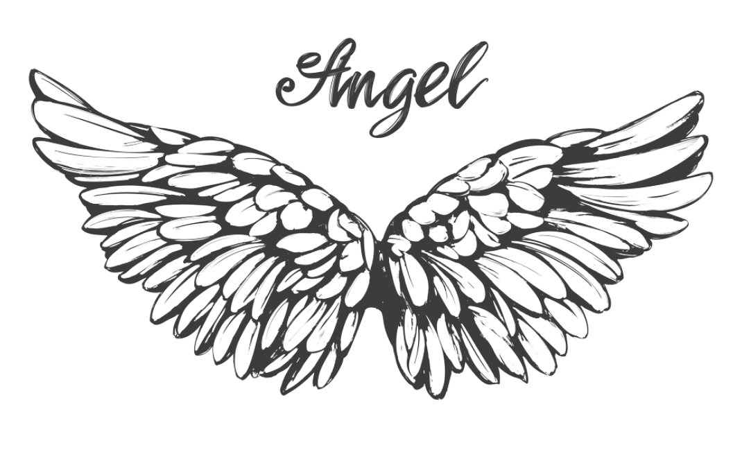 angel wings transparent